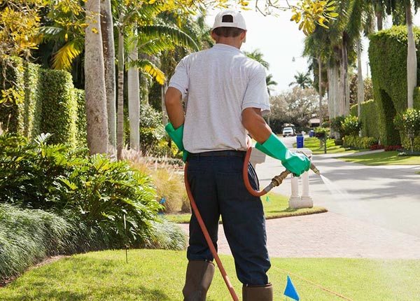About Colrain MA Pest Control Pros